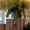 Classic Julep Cup S1814 - Image 2